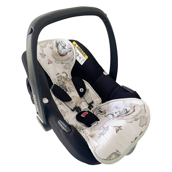 Accessories for prams and car seats