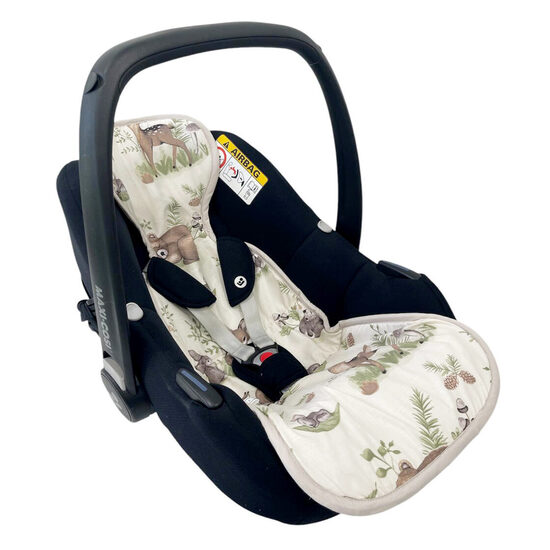 Car seat accessories