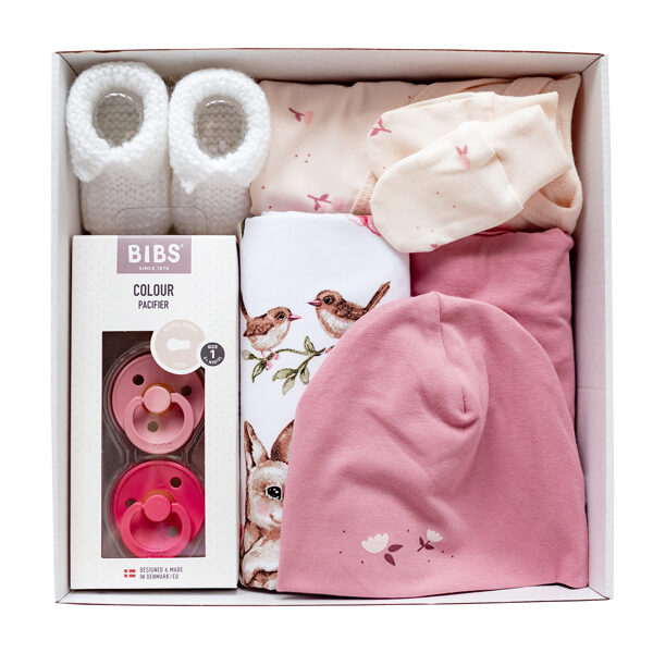 Newborn Gift Set | Bunnies (Sizes: 56., 62.)