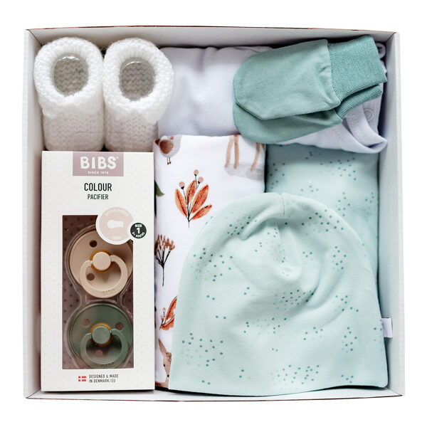 Newborn Gift Set | Forest animals (Sizes: 56., 62.)